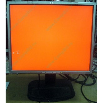 Монитор 19" TFT HP 1955 (DVI в Троицке, USB-хаб) "квадратный" (Троицк)