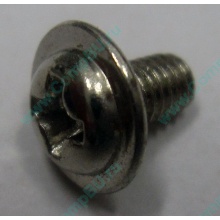 Компьютерный винт "малый" PW-M3x6mm (Троицк)
