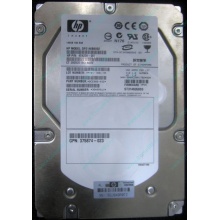HP 454228-001 146Gb 15k SAS HDD (Троицк)