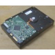 Жесткий диск HP 250Gb 7200 rpm 432337-001/ 399699-001 / 397377-004 (Троицк)
