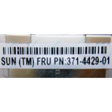 Серверная память SUN (FRU PN 371-4429-01) 4096Mb (4Gb) DDR3 ECC в Троицке, память для сервера SUN FRU P/N 371-4429-01 (Троицк)