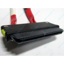 SATA-кабель для корзины HDD HP 451782-001 459190-001 для HP ML310 G5 (Троицк)