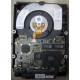Жесткий диск 18.2Gb IBM Ultrastar DDYS-T18350 Ultra3 SCSI (Троицк)