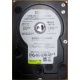 Б/У жёсткий диск 400Gb WD WD4000YR Caviar RE2 7200 rpm SATA  (Троицк)