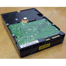 Б/У жёсткий диск 400Gb WD WD4000YR Caviar RE2 7200 rpm SATA  (Троицк)