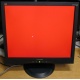Монитор 19" ViewSonic VA903b (1280x1024) есть битые пиксели (Троицк)