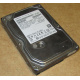 HDD 500Gb Hitachi HDS721050DLE630 донор на запчасти (Троицк)