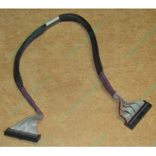 FDD-кабель HP 271946-006 для ML370 (Троицк)