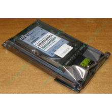 Жёсткий диск 146.8Gb HP 365695-008 404708-001 BD14689BB9 256716-B22 MAW3147NC 10000 rpm Ultra320 Wide SCSI купить в Троицке, цена (Троицк).