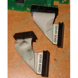 6017B0045701 Шлейф 24 pin для Intel C74974-401 T0043401-B01 корпуса SR2400 (Троицк)