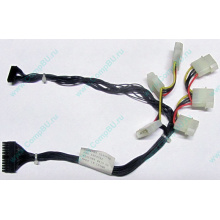 59P4789 FRU 59P4792 в Троицке, кабель IBM 59P4789 FRU 59P4792 для серверов X225 (Троицк)