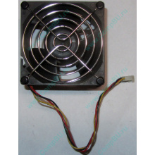 Вентилятор EFB0812HHE IBM 59P23B1 FRU 59P2572 (Троицк)