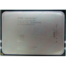 AMD Opteron 6128 OS6128WKT8EGO (Троицк)