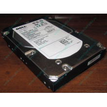 Жесткий диск 300Gb 15k Dell 9CH066-050 6G SAS (Seagate Cheetach ST3300656SS 15K.6) - Троицк